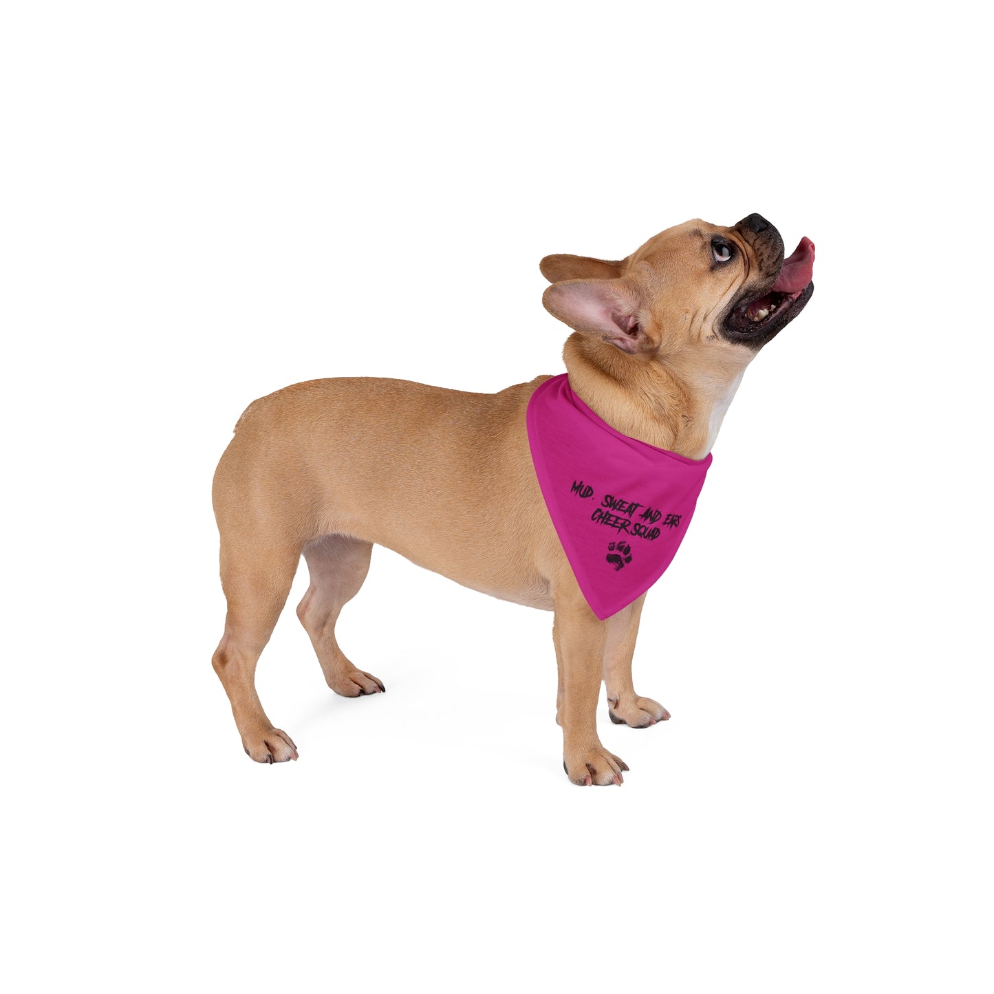 Mudd, Sweat, &  Ears Cheer Squad Pet Bandana