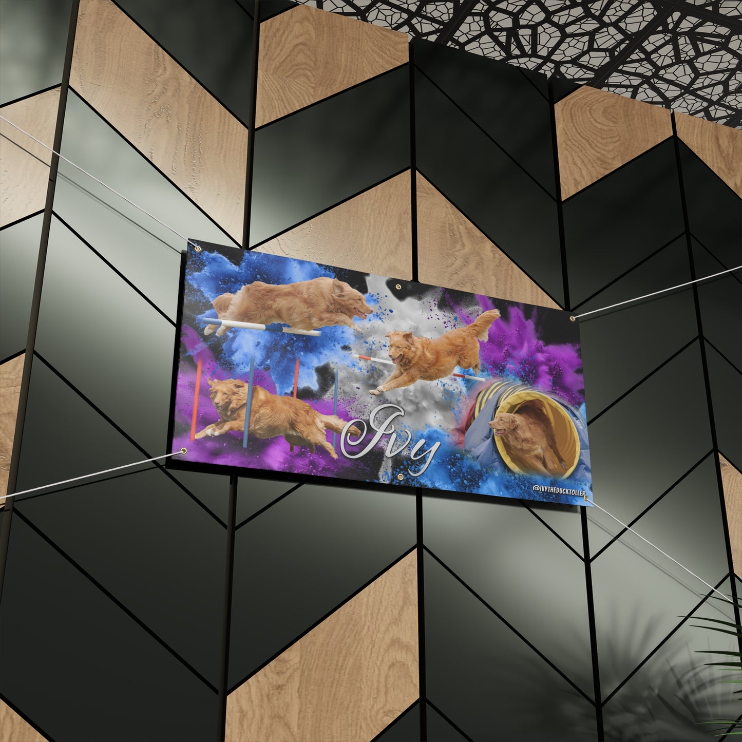 IVY - Agility Matte Banner