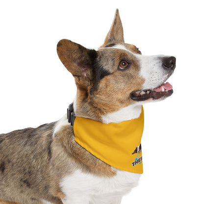 GOLD *AKC AGILITY LEAGUE Pet Bandana Collar