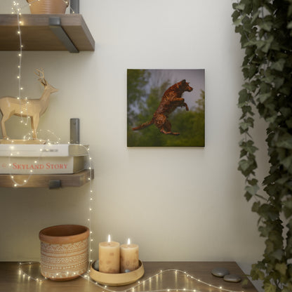 BOOMER Canvas Photo Tile