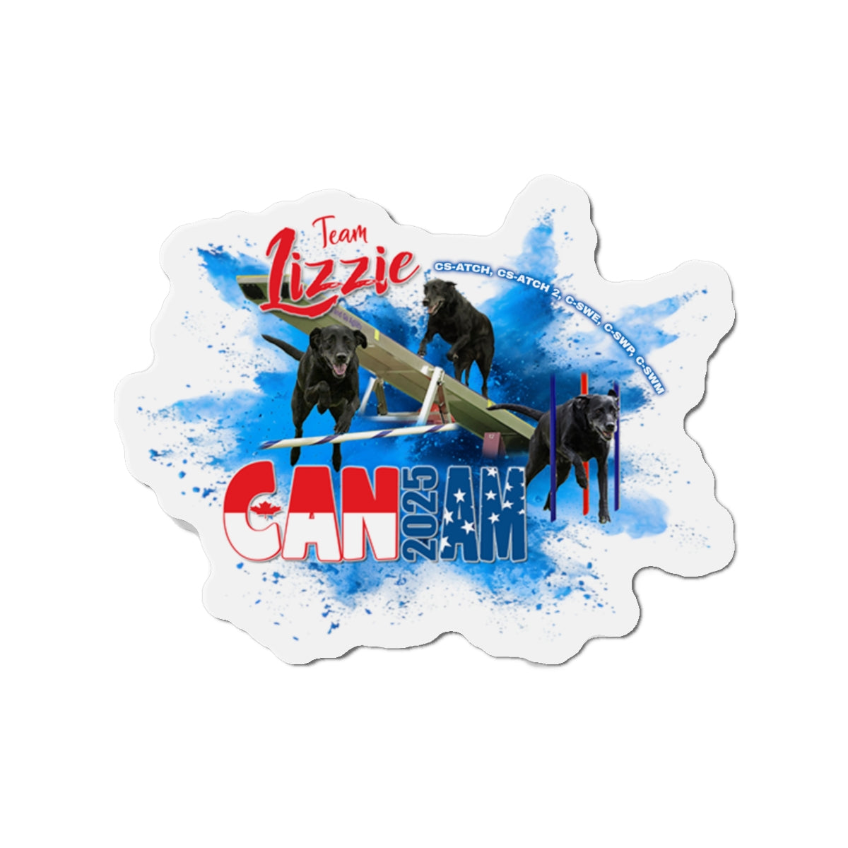 LIZZIE 2025 CAN AM Magnets