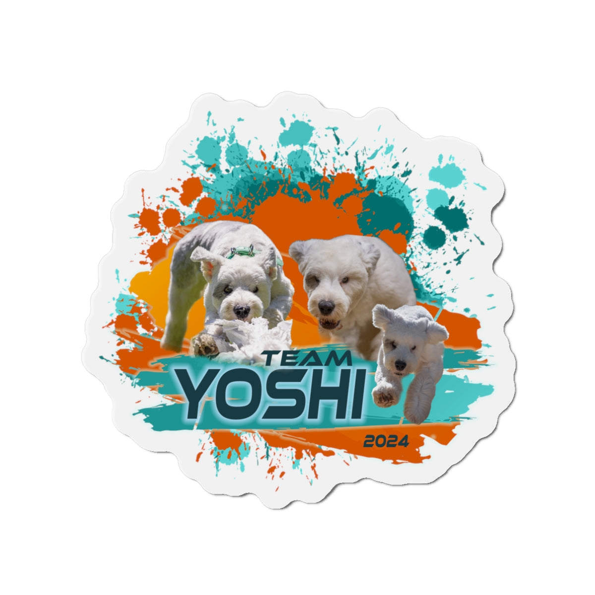 Y O S H I  Magnet