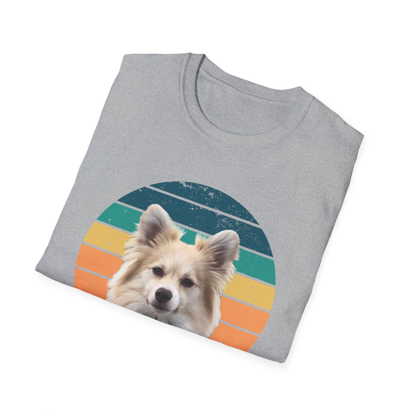 RETRO SUNSET DEXTER Unisex Softstyle T-Shirt