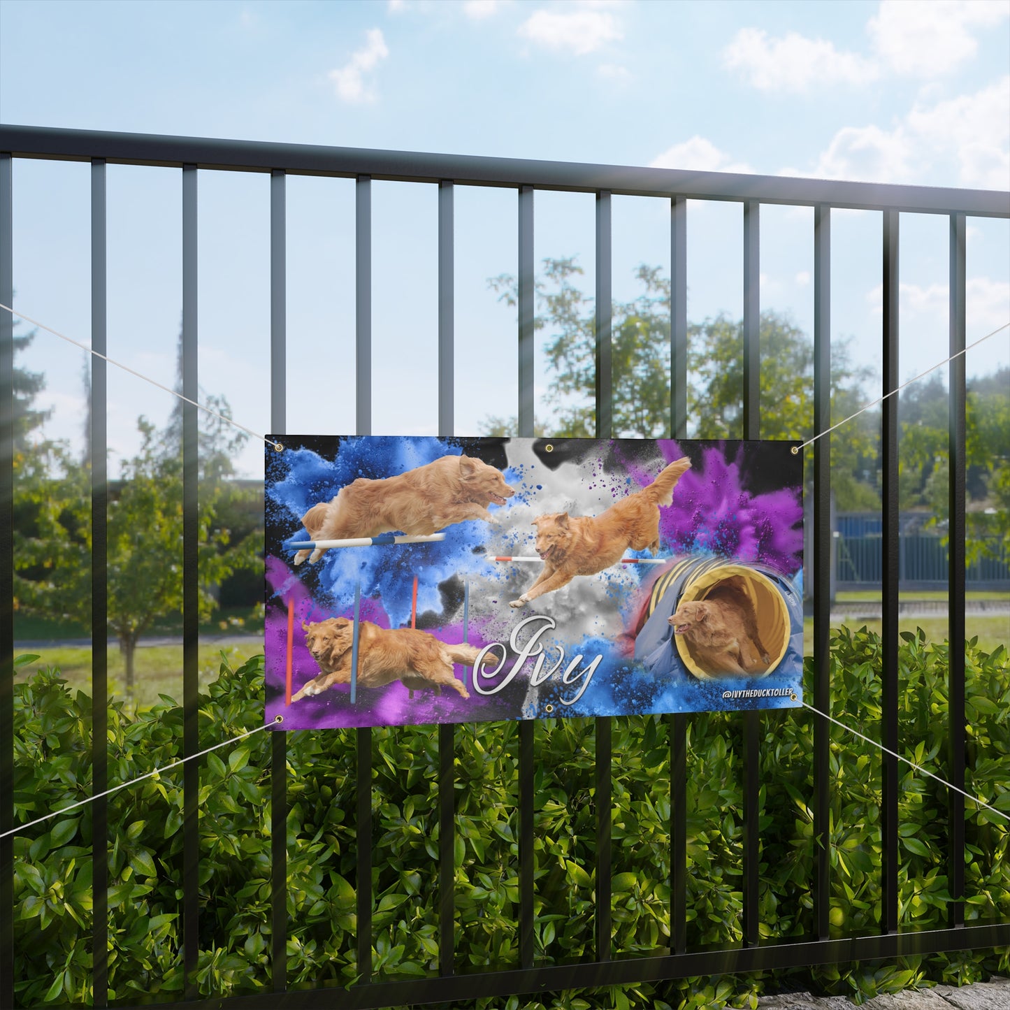 IVY - Agility Matte Banner