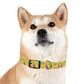 80S Summer Fun  Dog Collar