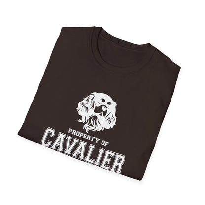 CAVALIER NATION  Unisex Softstyle T-Shirt