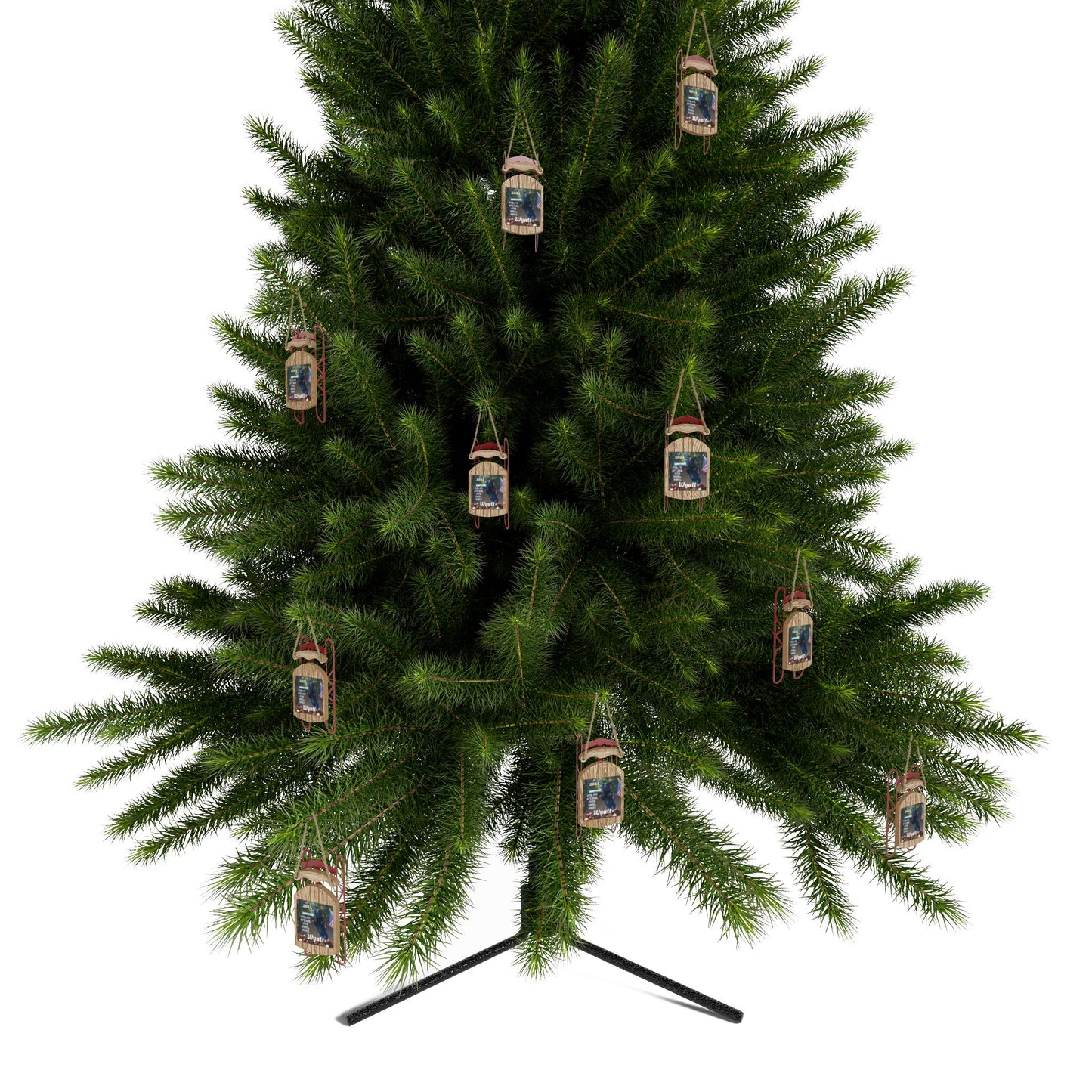 Wyatt Sled Ornaments