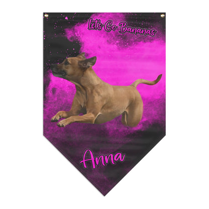 ANNA Pennant Banner