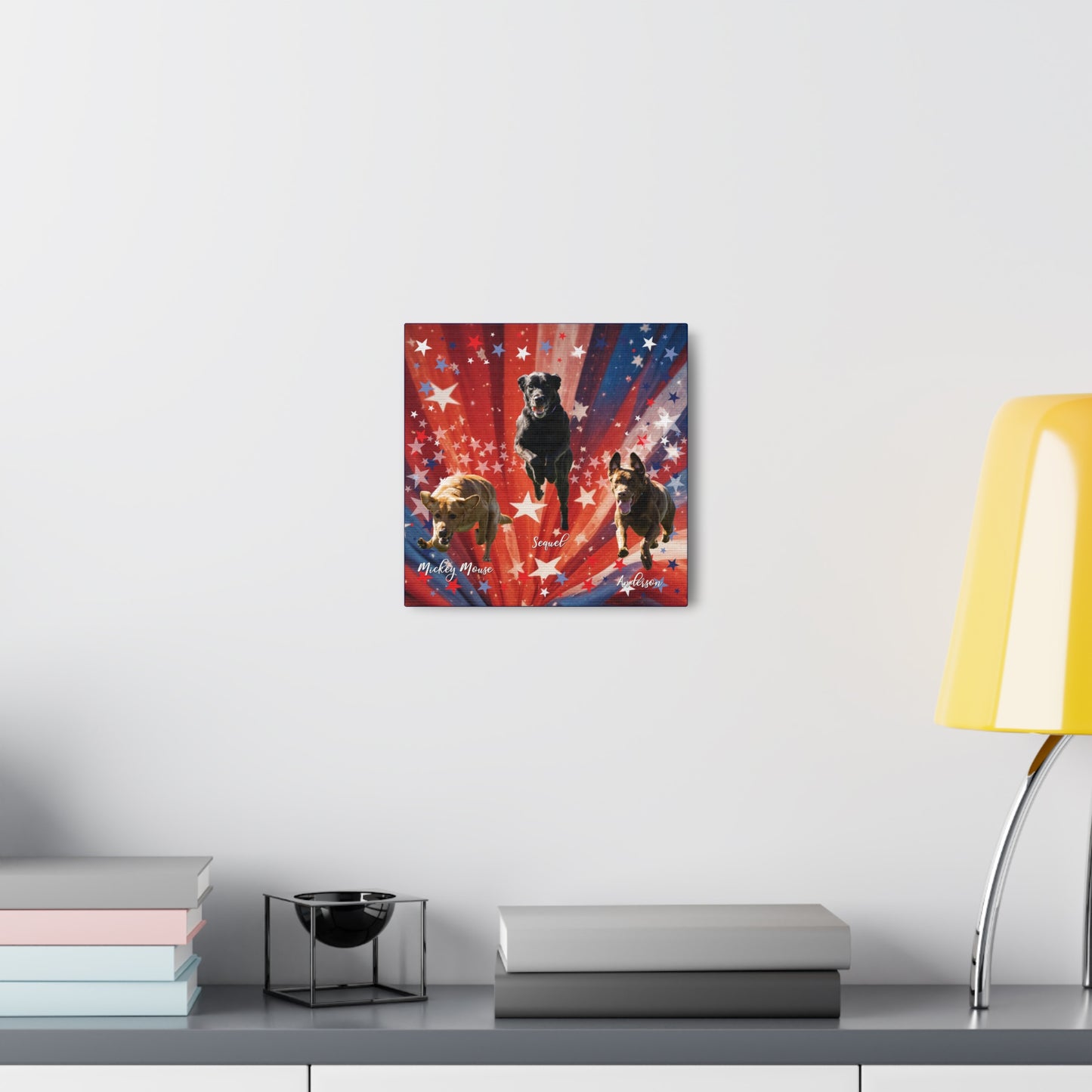 ANDERSON & FRIENDS Canvas Gallery Wraps