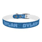 GROOVY WAVES - DYLAN Dog Collar