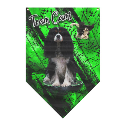 TEAM CAMI  Pennant Banner