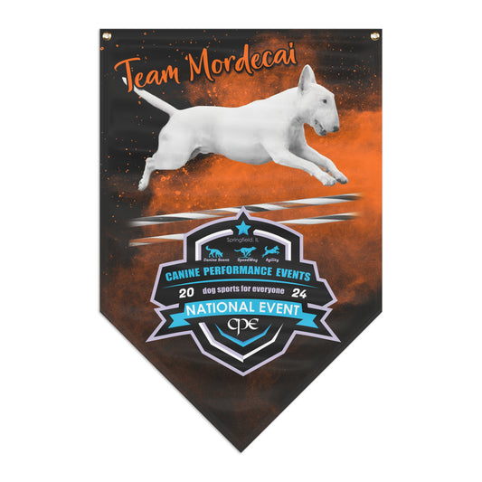 Team Mordecai  CPE -  Pennant Banner
