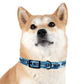 Get Wet Dog Collar