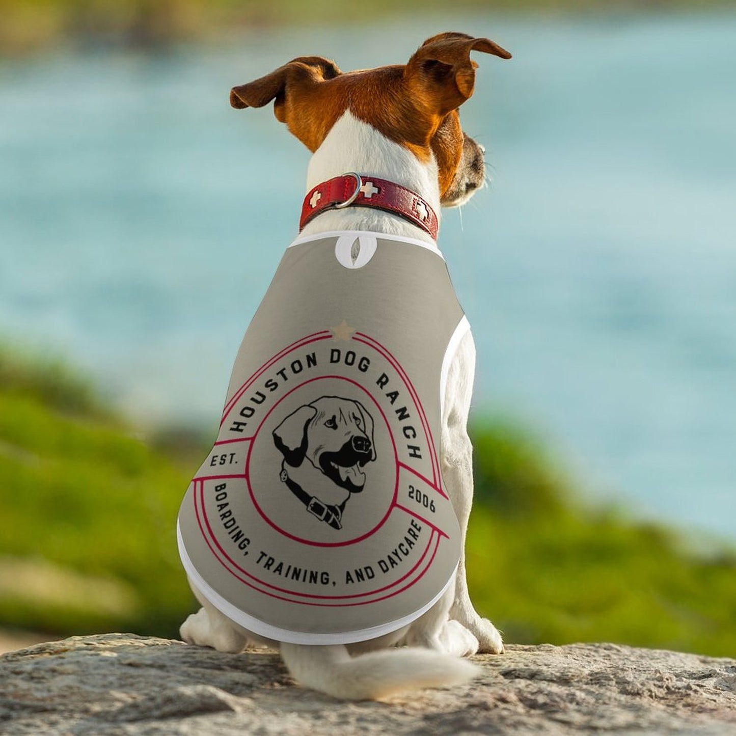 Custom Dog Vests-Fully Printed Mesh Pet Tank Tops