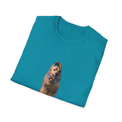 ENZO! Unisex Softstyle T-Shirt