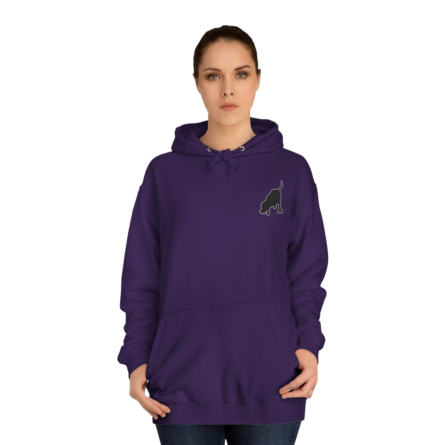 Copy of DS TESLA BARN HUNT Unisex College Hoodie