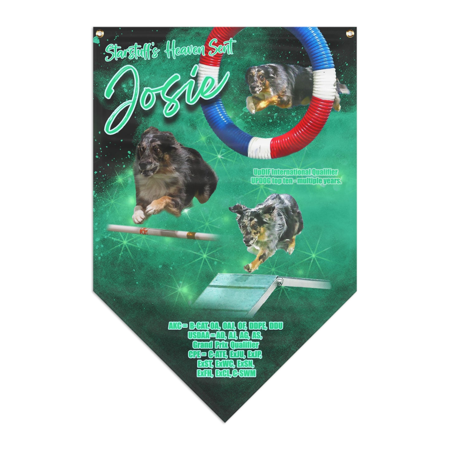 JOSIE Pennant Banner