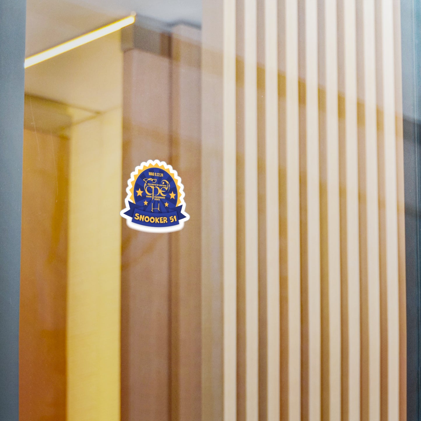 Lizzie - Snooker Sticker