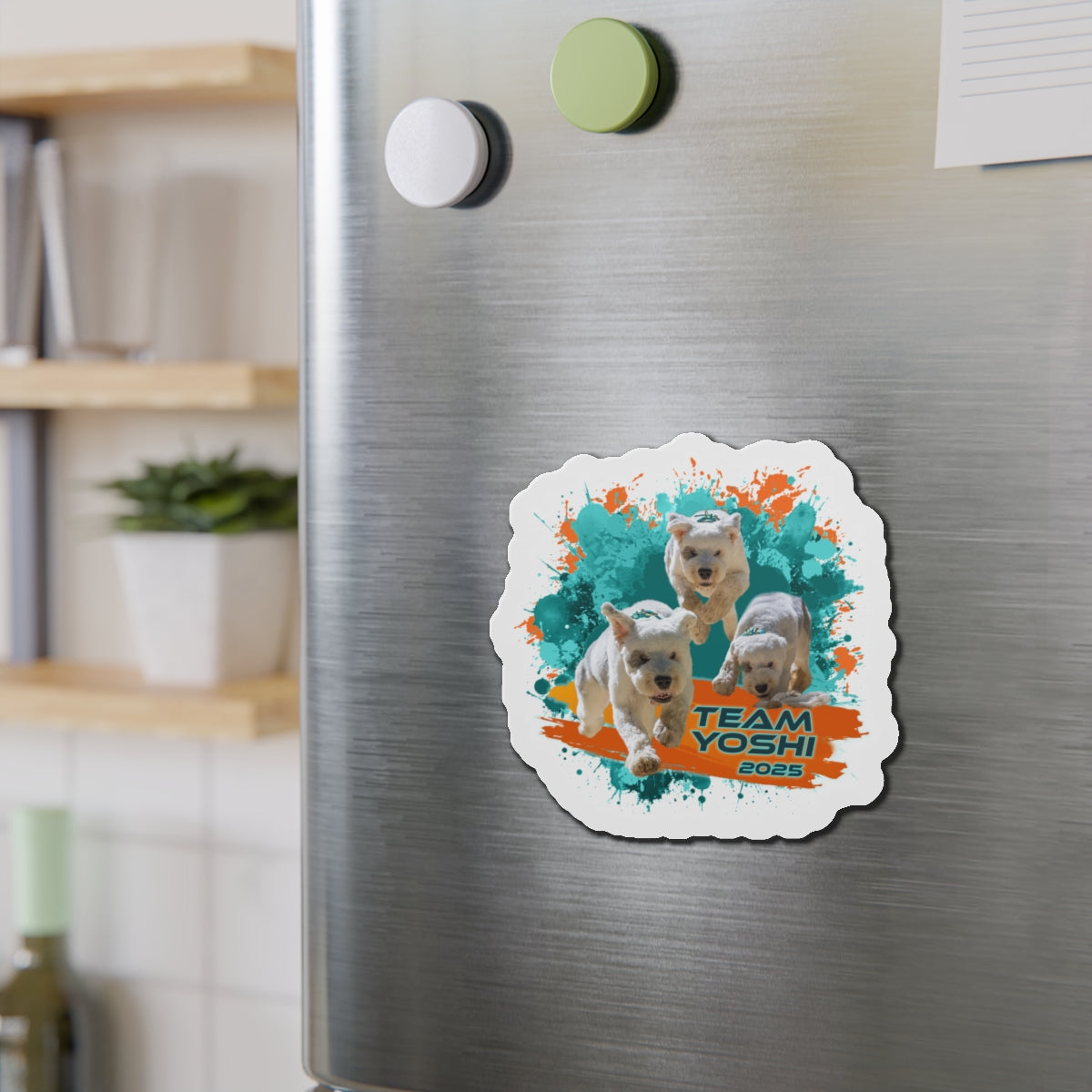 Y O S H I  Magnets