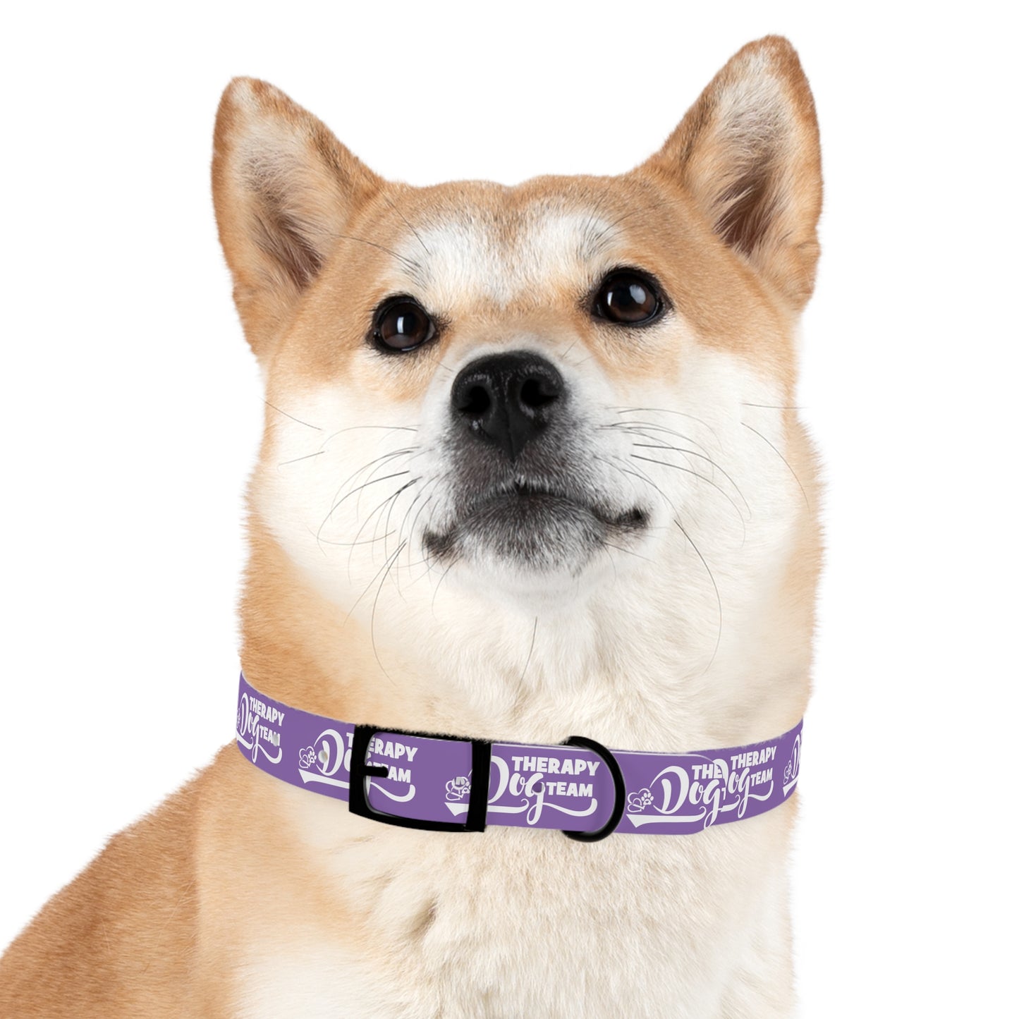 THERAPY DOG TEAM - Dog Collar