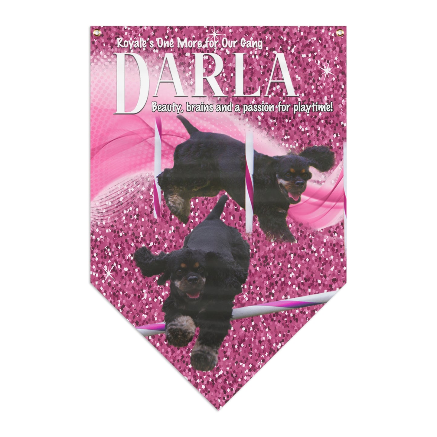 CPE TEAM DARLA Pennant Banner