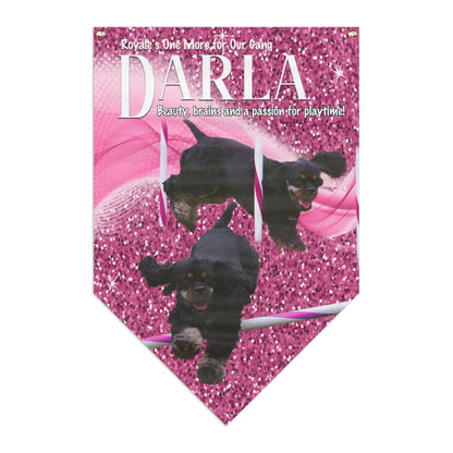 CPE TEAM DARLA Pennant Banner