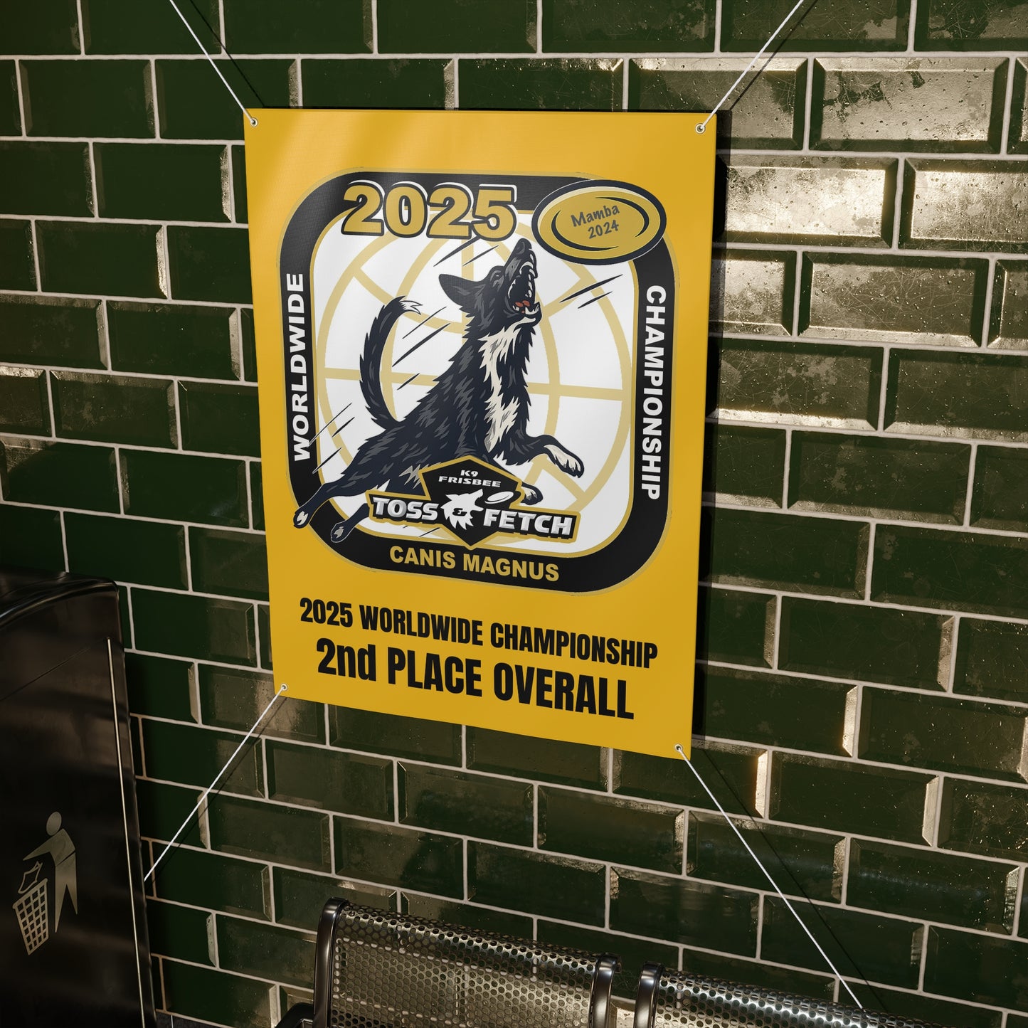 TOSS N CATCH CHAMPIONSHIP  2025   Banner