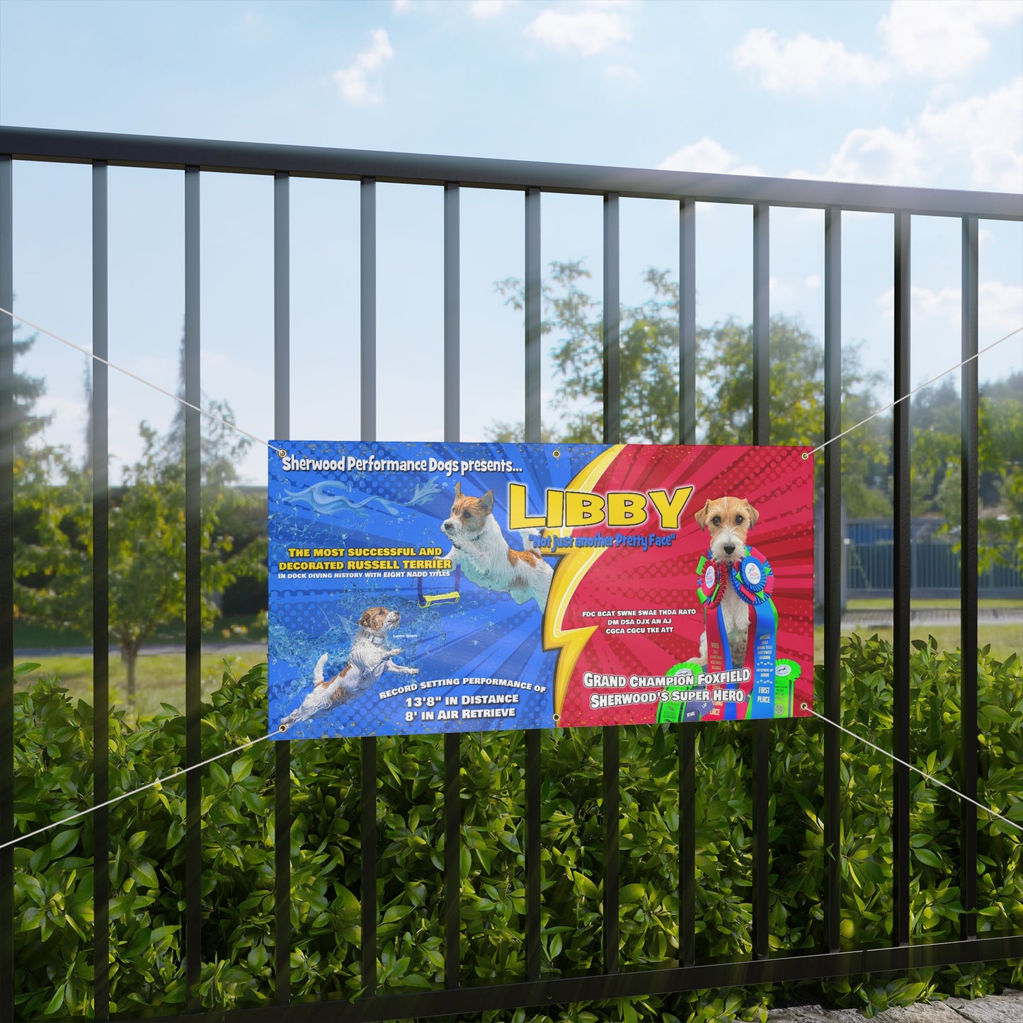 LIBBY Custom  Matte Banner