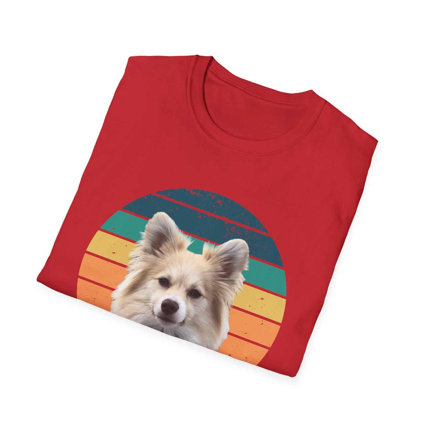 RETRO SUNSET DEXTER Unisex Softstyle T-Shirt