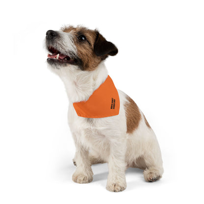 NC SEARCH DOGS Pet Bandana Collar