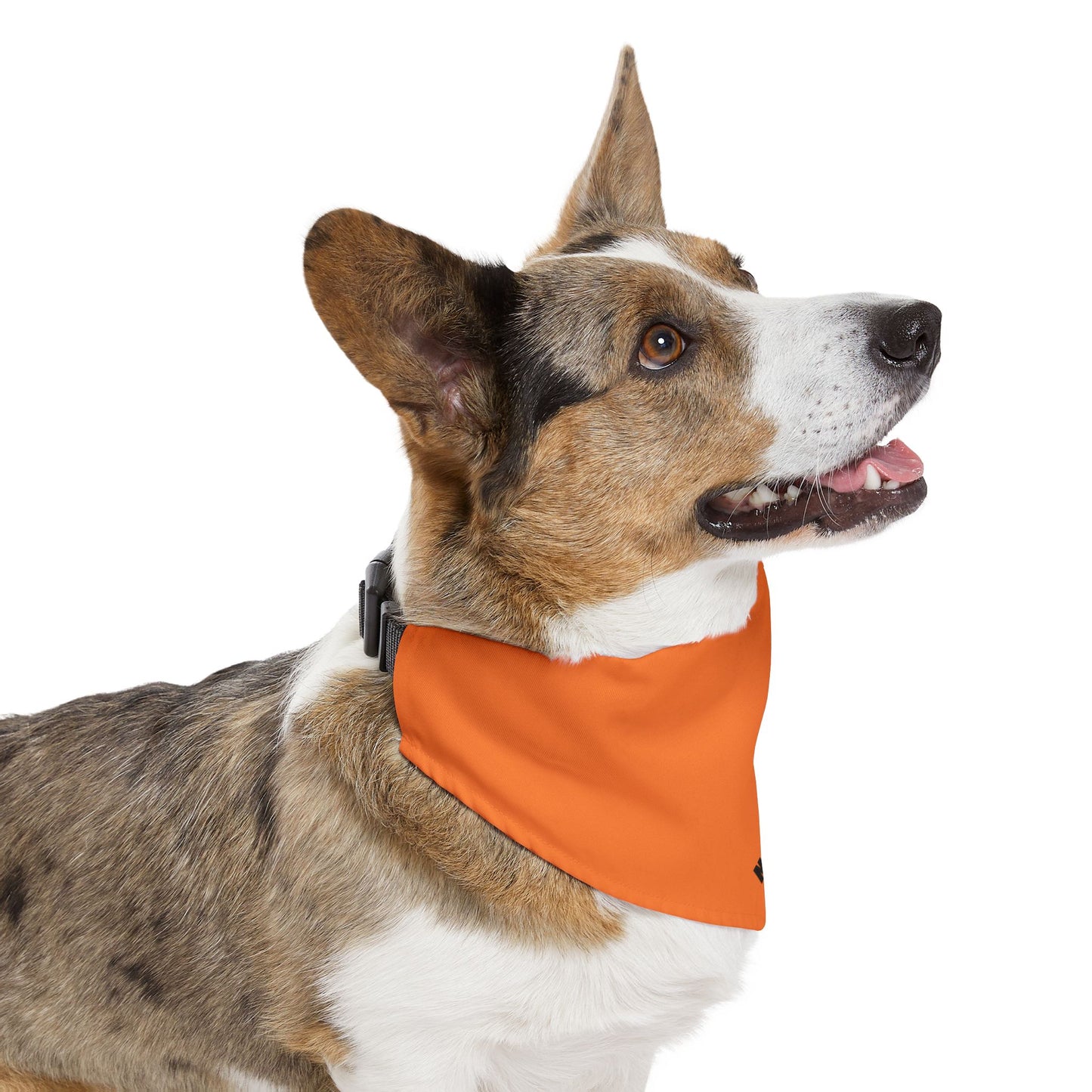 NC SEARCH DOGS Pet Bandana Collar