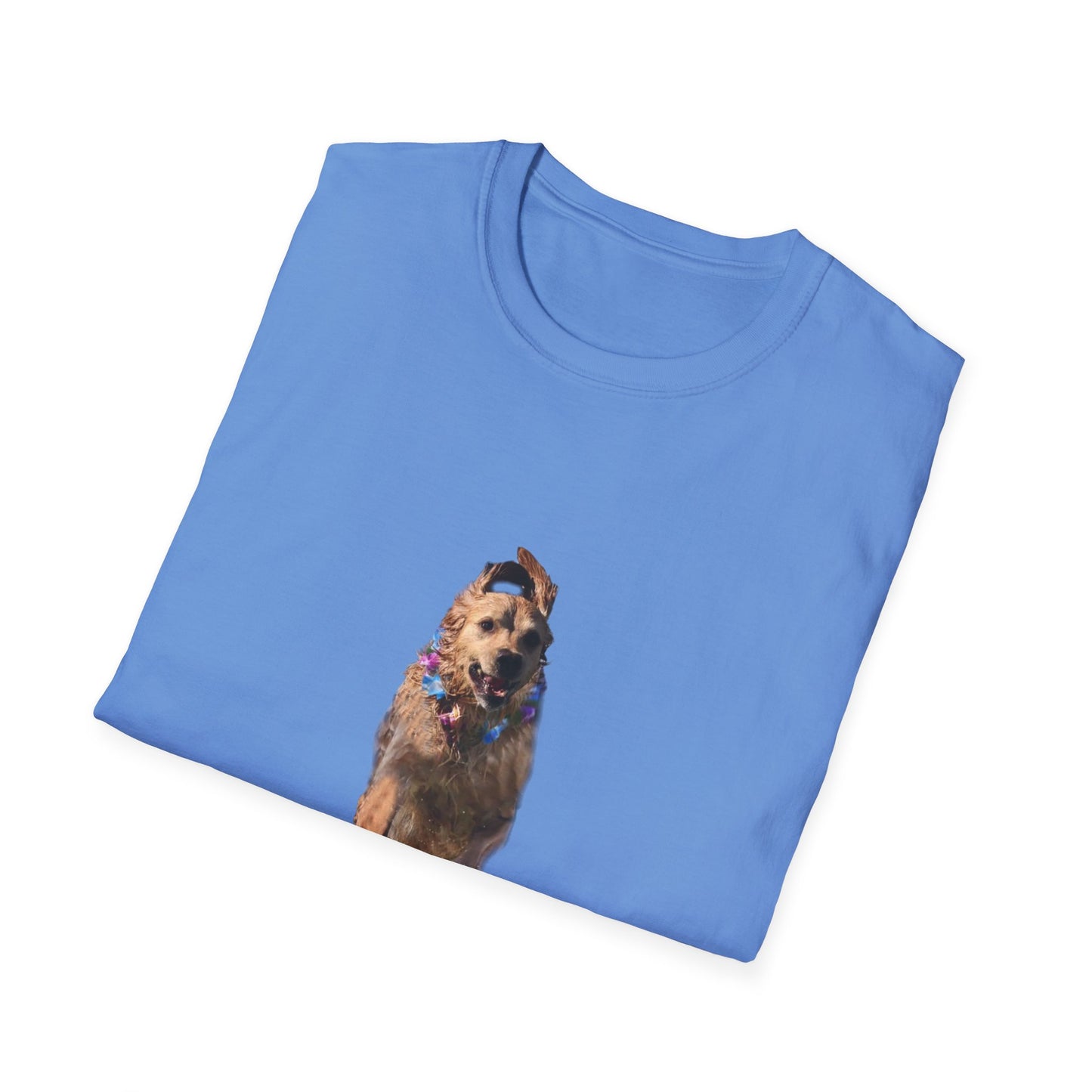 ENZO! Unisex Softstyle T-Shirt