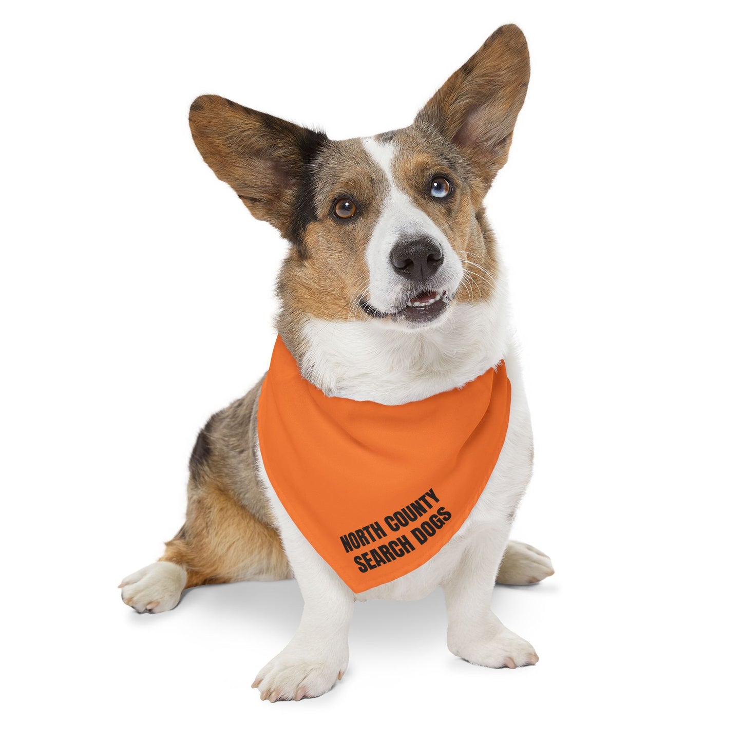 NC SEARCH DOGS Pet Bandana Collar