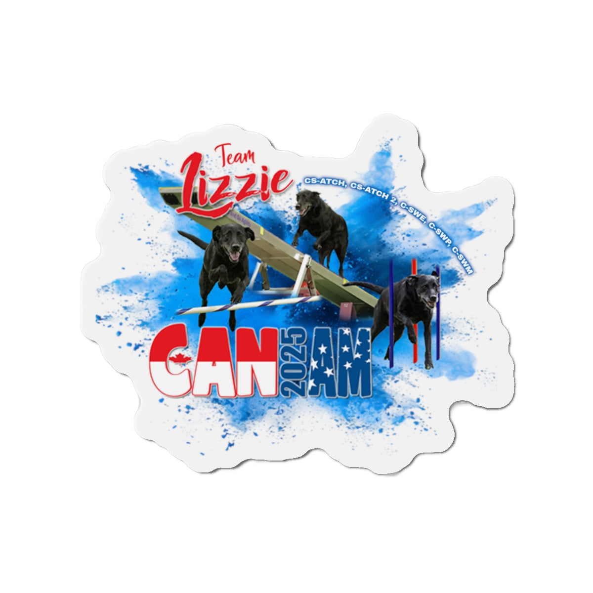 LIZZIE 2025 CAN AM Magnets