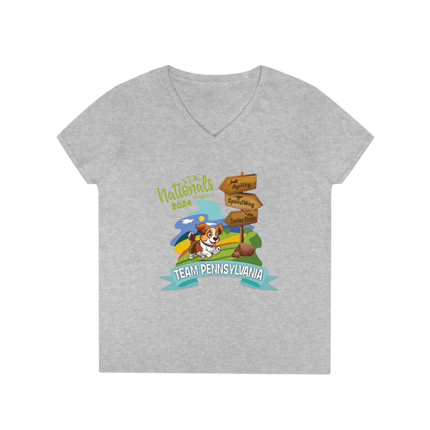 PA CPE Ladies' V-Neck T-Shirt