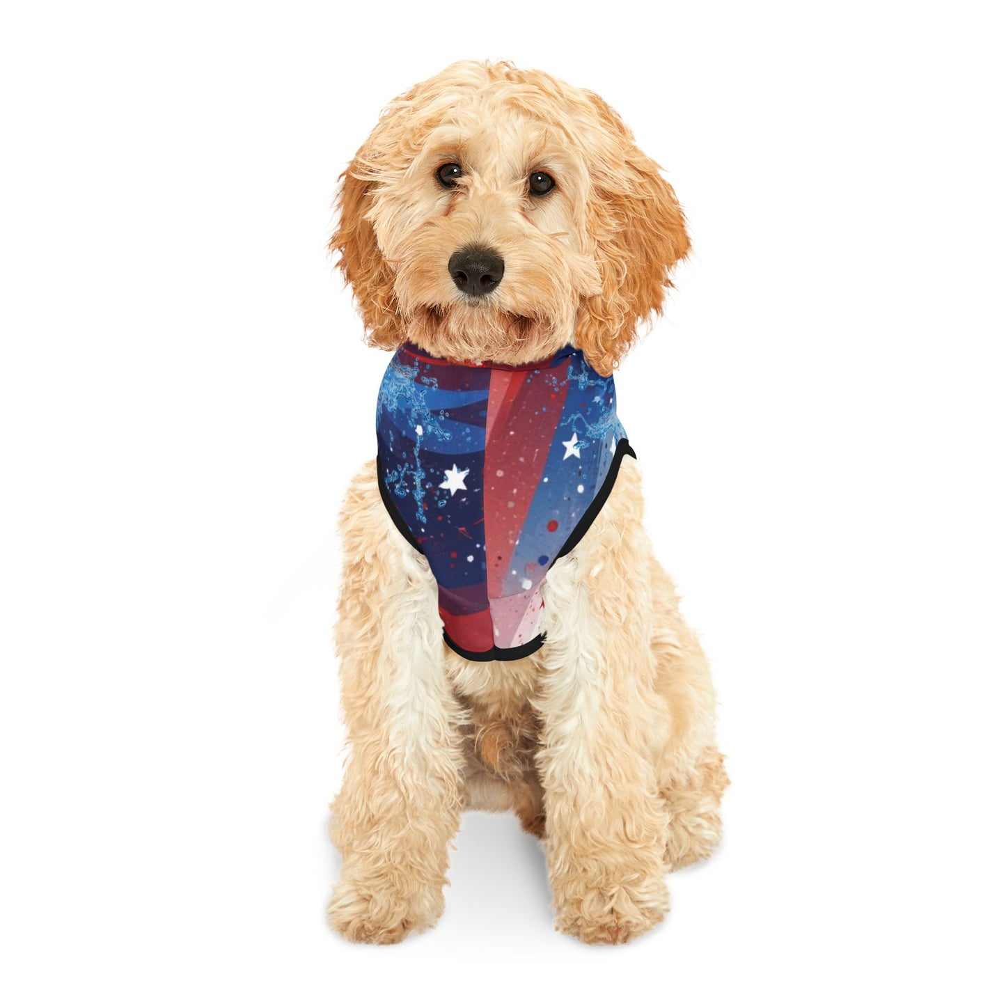 VENTURE JOURNEY Pet Hoodie