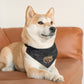 GOLD RUSH FLYBALL Pet Bandana Collar