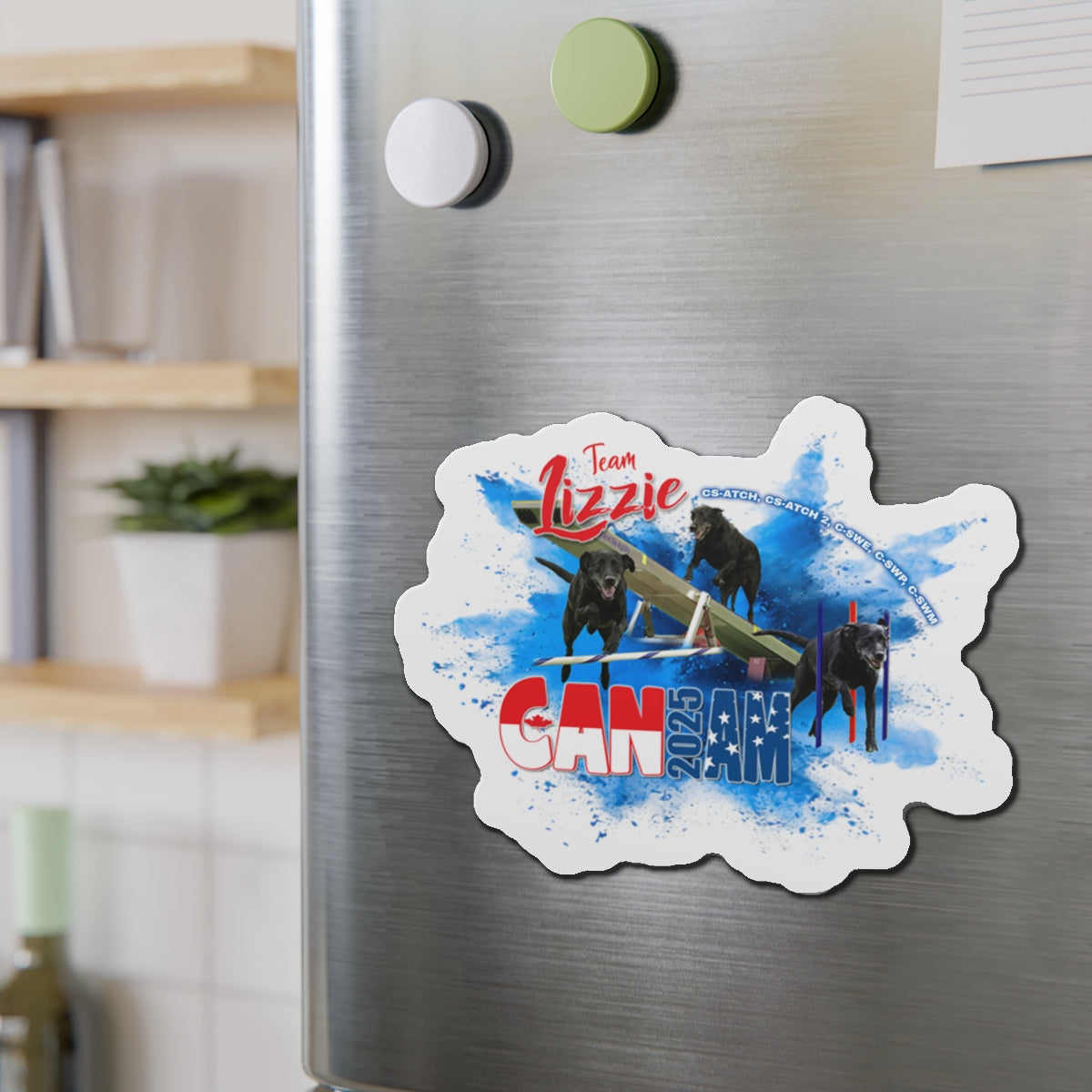 LIZZIE 2025 CAN AM Magnets