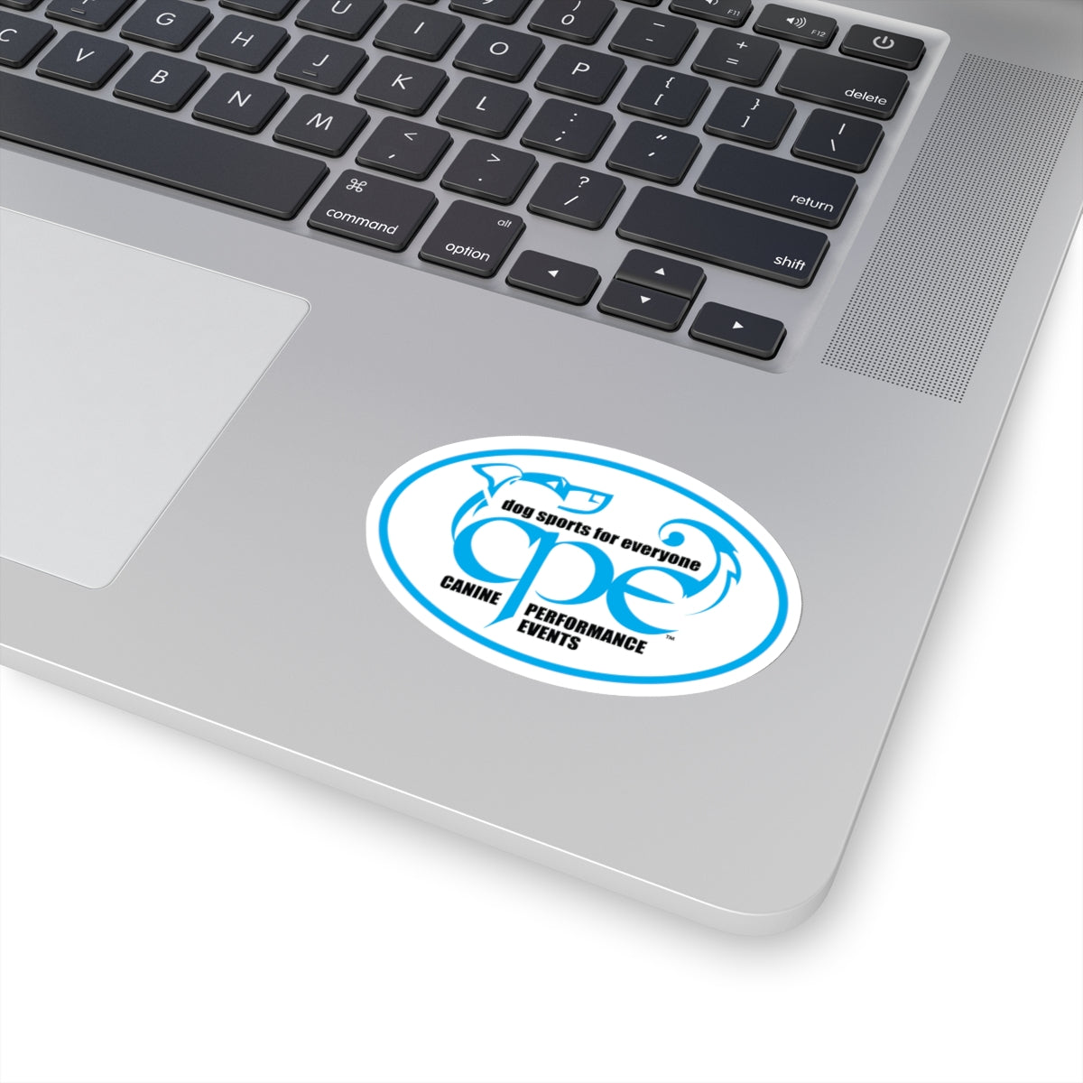 CPE OVAL   Stickers