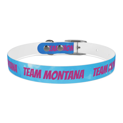 MONTANA NADD Dog Collar