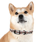 HOLIDAY GARLAND Dog Collar