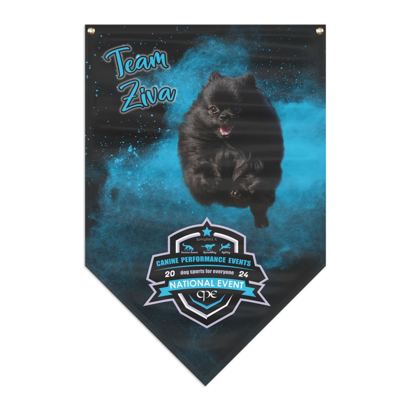 ZIVA  Pennant Banner