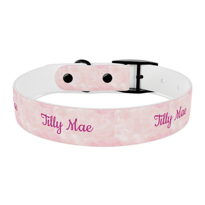 Tilly Mae - Custom Dog Collar