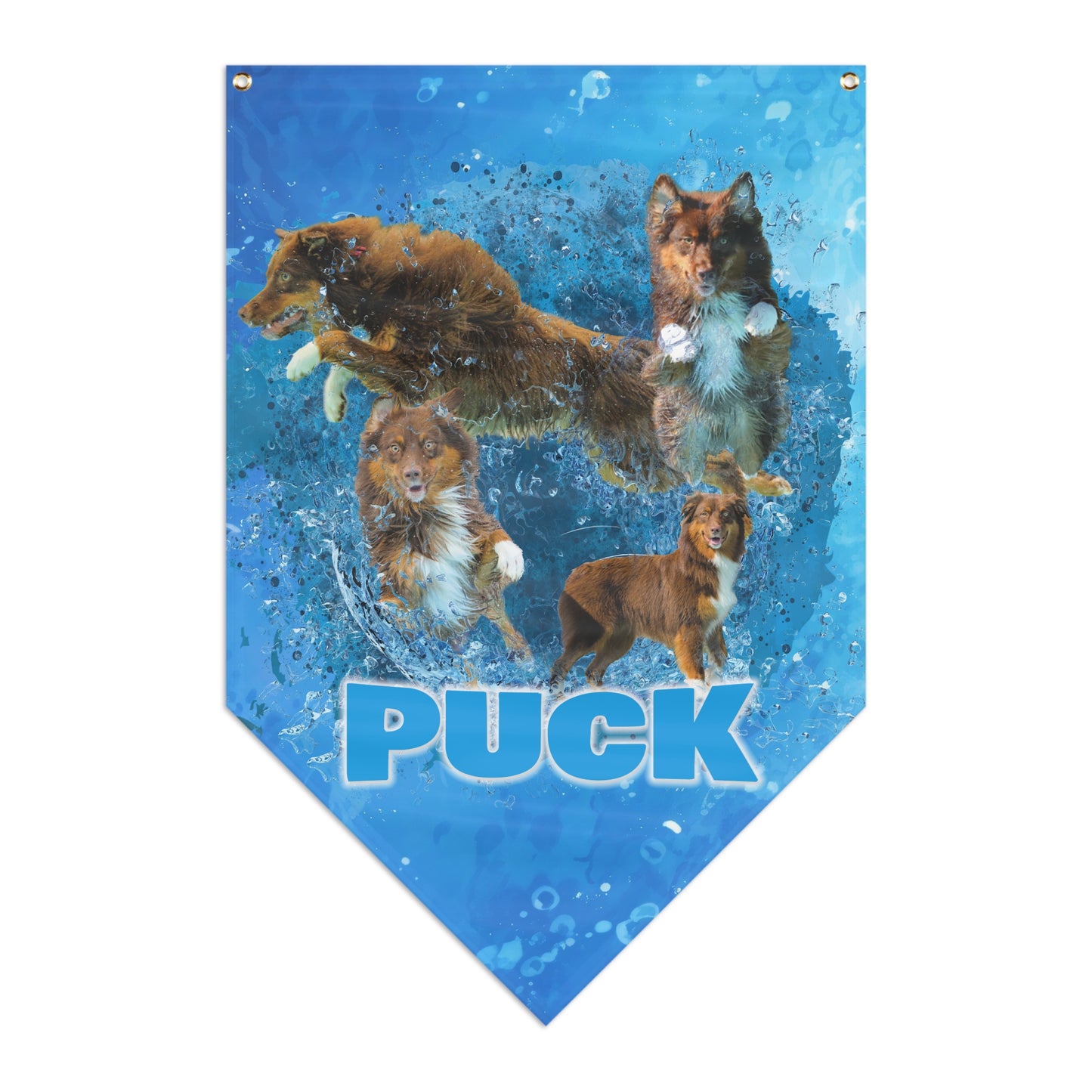 PUCK  Pennant Banner