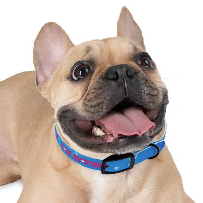 MONTANA NADD Dog Collar