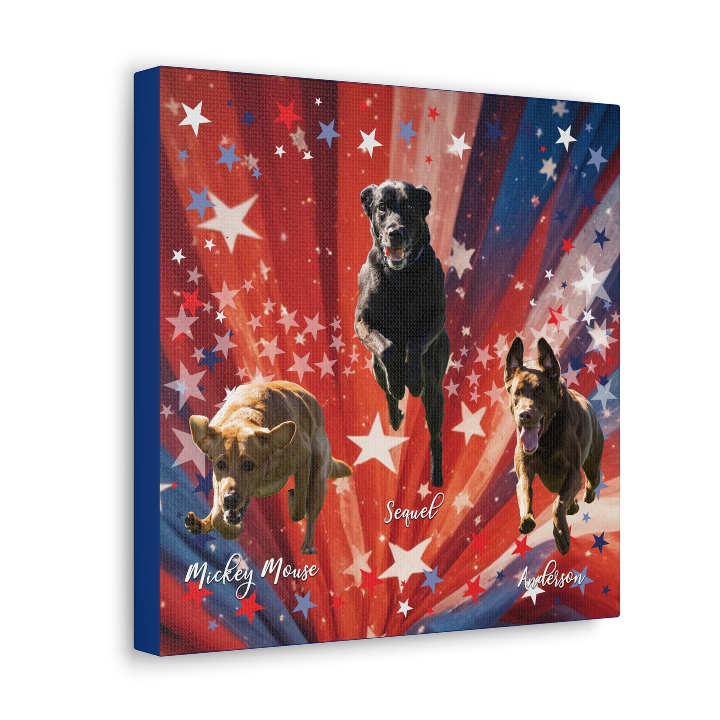 ANDERSON & FRIENDS Canvas Gallery Wraps