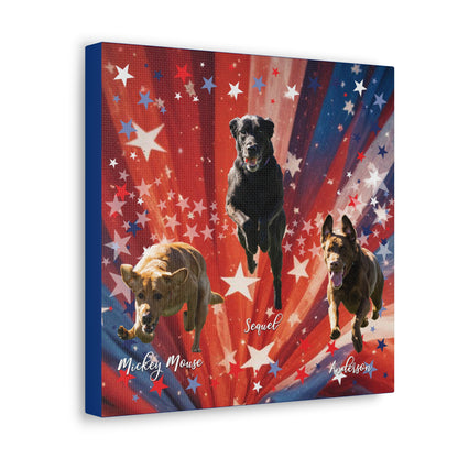 ANDERSON & FRIENDS Canvas Gallery Wraps