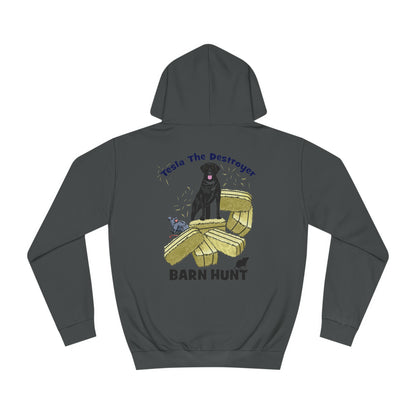 DS TESLA BARN HUNT Unisex College Hoodie