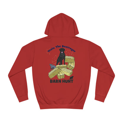 DS TESLA BARN HUNT Unisex College Hoodie