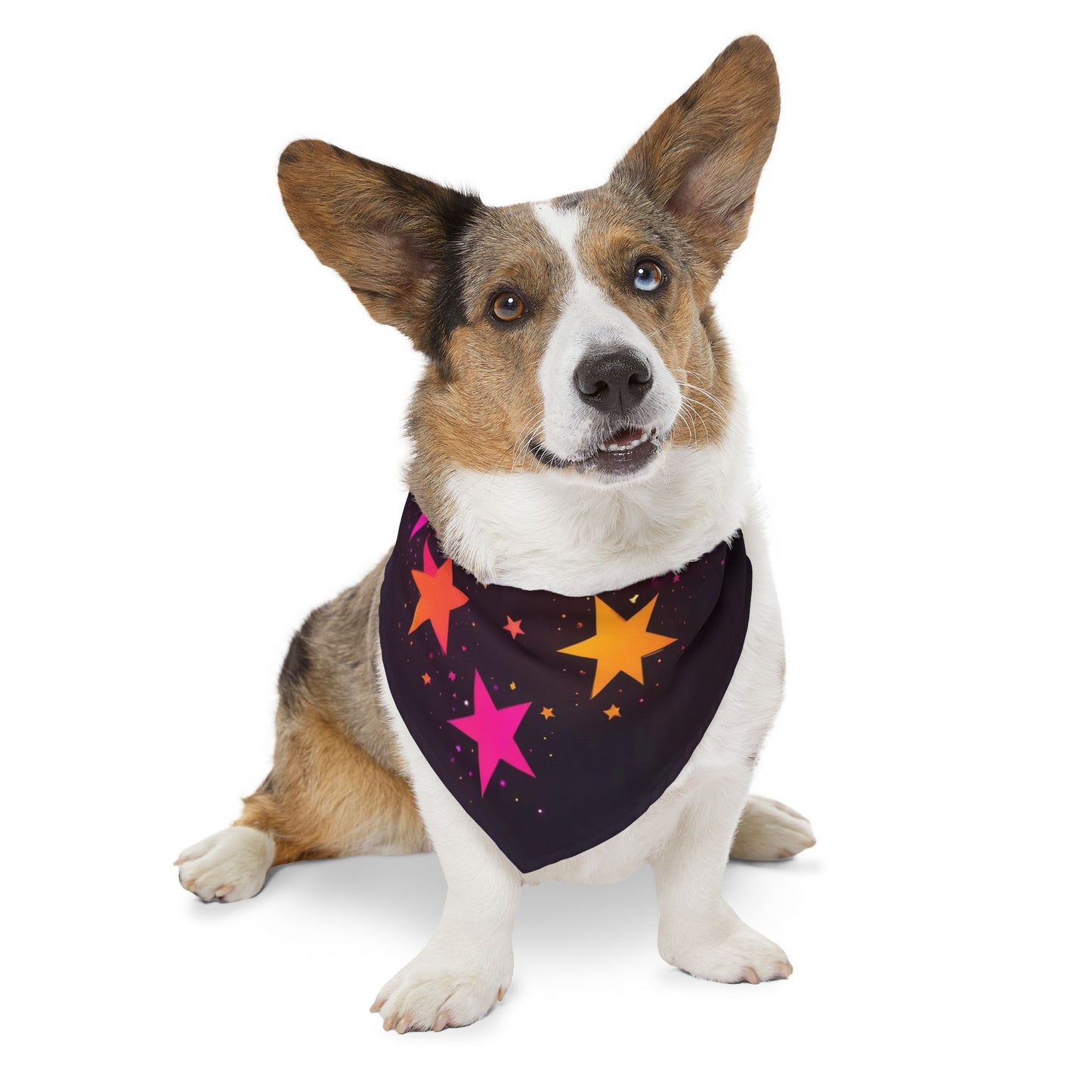 PINK ORANGE  STARS ON BLACK Pet Bandana Collar